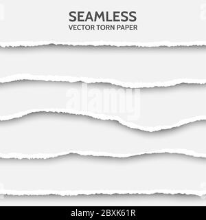 Vector seamless torn paper set on gray background. Ripped cardboard edge isolated with soft shadows. Template for your design. Sample text Stock Vector