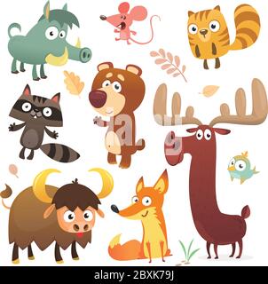 Cartoon forest animal characters. Wild cartoon cute animals collections vector. Big set of cartoon forest animals flat vector illustration. Squirrel, Stock Vector