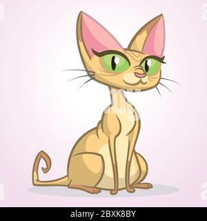 Sphynx cat vector. Funny glamorous cat with green eyes. Isolated on white. Stock Vector