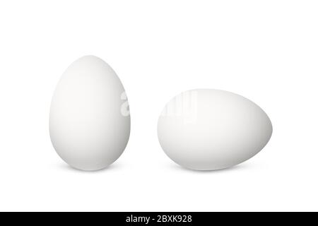 Two vector realistic white eggs. Isolated eggs on white background. Stock Vector