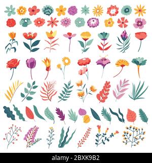 Flowers and leaves set, botanical collection in bloom Stock Vector