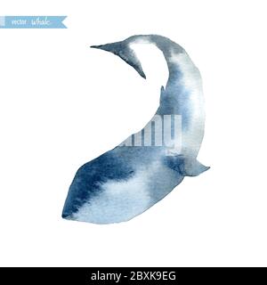 Watercolor whale. Vector illustration. Stock Vector