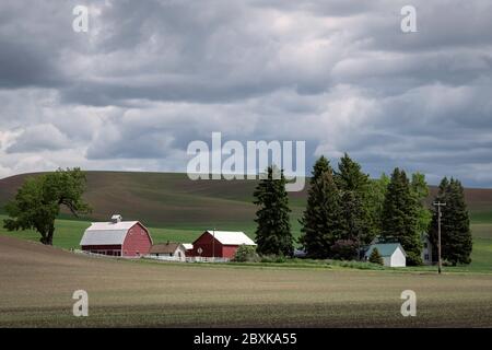 Farm with a red barn surrounded by trees nestled in the rolling hills of the Palouse region of Washington state