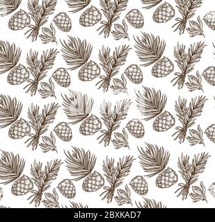 Cedar or fir tree branches and cone seamless pattern Stock Vector
