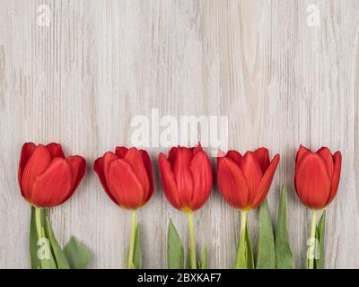 Five red tulips on wooden background. The view from the top. Stock Photo