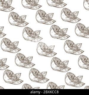 Lemon or lime with leaf monochrome seamless pattern Stock Vector