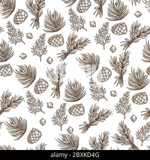 Branches of pine with needles and cones seamless pattern Stock Vector