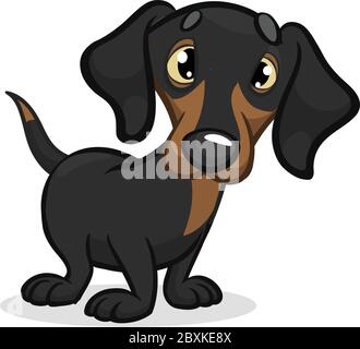 Cartoon Vector Illustration of Cute Purebred Dachshund Dog. Isolated on white background Stock Vector