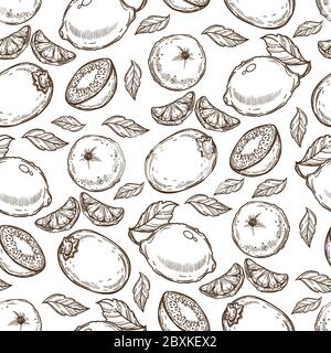 Lemons or limes with mandarins and kiwi seamless pattern Stock Vector