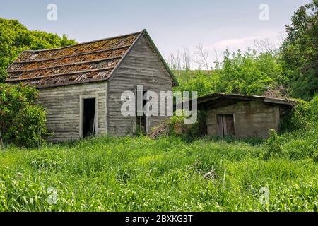 Abandoned house and shed surrounded by grass and bushes. Image taken in the Palouse, Washington Stock Photo