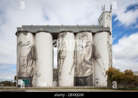 Coonalpyn South Australia September 7th 2019 : Silo art at the Coonalpyn silos on the Dukes Highway in South Australia Stock Photo