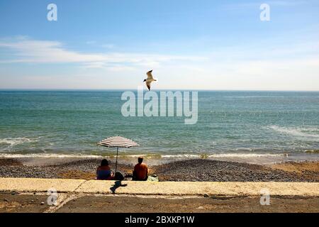 Couple sitting down under sun shade beach umbrella on beach shoreline looking out to sea hot sunny day seagull flying overhead Stock Photo