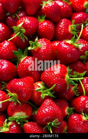 Ripe red strawberries with stems, berry pattern. Stock Photo