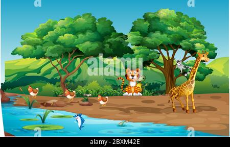 animals are playing on the river bank in the forest Stock Vector