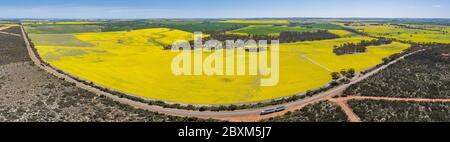 Aerial panoramic view of canola fields next to a  section of highway 40 in the wheatbelt region of Western Australia Stock Photo