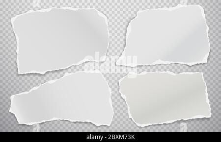 Torn of white note, notebook paper strips and pieces stuck on squared background. Vector illustration Stock Vector