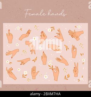 Vector pattern collection of womens hands with different gestures with other elements in the background.  Stock Vector