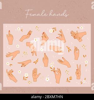 Vector pattern collection of womens hands with different gestures with other elements in the background.  Stock Vector