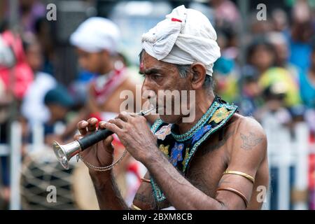 A Trumpet Player performs along a street during the Day Perahera at Kandy in Sri Lanka. This is the final parade of Esala Perahera festival. Stock Photo