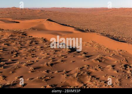 Aerial view of the sand dunes, located in the Namib Desert, in the Namib-Naukluft National Park, Namibia at sunrise. Stock Photo