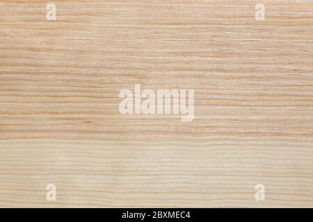 Precise pine veneer texture in admirable beige tone. Stock Photo
