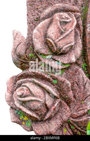Old moss covered stone relief of red granite rose buds. Part of tombstone in public cemetery of stone roses with green moss Stock Photo