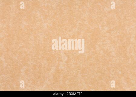 Paper parchment with soft texture or tan cream colored wall with warm beige light wallpaper. Stock Photo