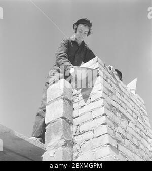 In the 1950s. Women construction worker is laying bricks on a building site. Sweden 1951. Kristoffersson ref BB94-6 Stock Photo