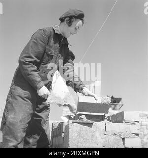 In the 1950s. Women construction worker is laying bricks on a building site. Sweden 1951. Kristoffersson ref BB93-10 Stock Photo
