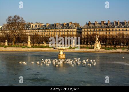 Jardin des Tuileries gardens in winter, Paris, France Stock Photo