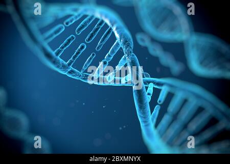 Digital illustration human DNA strand Stock Photo
