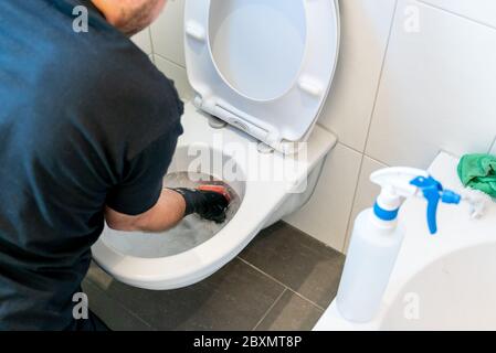 A professional cleaner removing grime and lime scale in a toilet bowl during a spring cleaning of an apartment bathroom Stock Photo