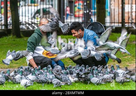Cork, Ireland. 8th June, 2020. Many shops in Ireland are re-opening today after a 3 month closure due to the Covid-19 pandemic. A family feeds the pigeons in Bishop Lucey Park, Grand Parade, Cork. Credit: AG News/Alamy Live News Stock Photo