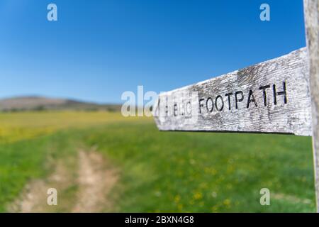 Footpath sign pointing over a traditional hay meadow in the Eden Valley near Kirkby Stephen, in the Western Dales are of the Yorkshire Dales National Stock Photo