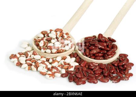 Red and white Beans on a cooking spoon Stock Photo