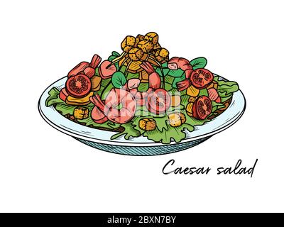 Caesar salad with shrimp isolated on a white background. Sketch Italian dishes. Vector illustration in sketch style. Stock Vector