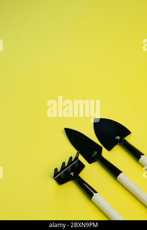 small garden tools for home seed planting, on a bright yellow background, copyspace Stock Photo
