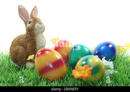 Easter bunny with eggs on a meadow Stock Photo