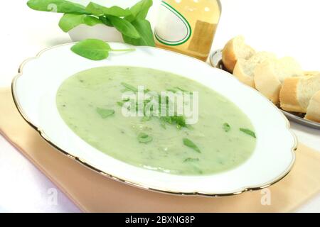Herb soup Stock Photo