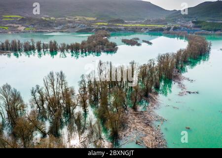 Waterlogged copse. Aerial view. Stock Photo