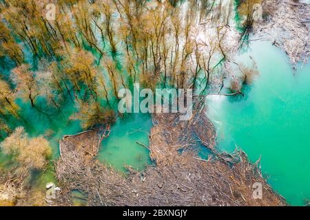 Waterlogged copse. Aerial view. Stock Photo