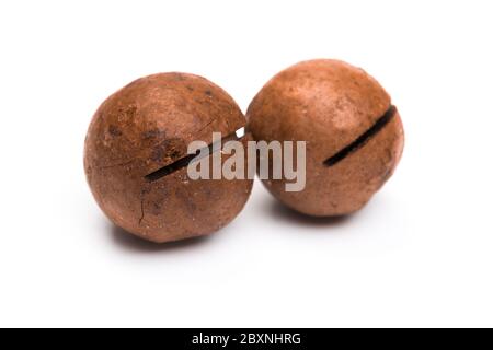 Raw not peeled whole macadamia nuts with shelled kernels isolated on white. Macro view. Healthy food. Protein source. Stock Photo
