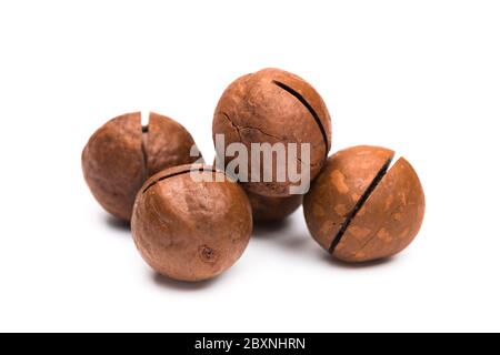 Raw not peeled whole macadamia nuts with shelled kernels isolated on white. Macro view. Healthy food. Protein source. Stock Photo