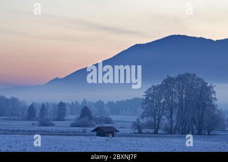 winter morning in bavarian pre-alps, germany