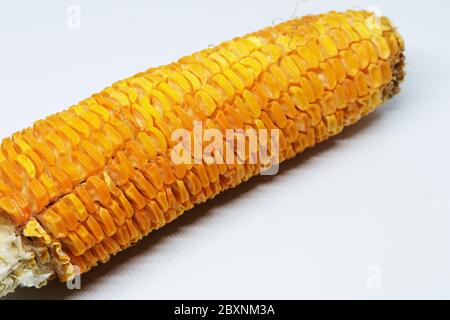 Fresh organic Sweet corn isolated on white background Stock Photo