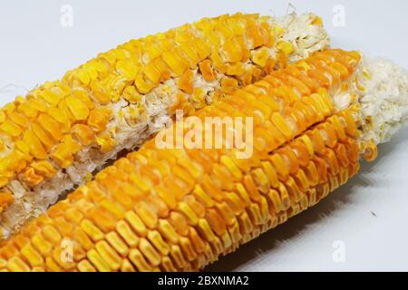 Fresh organic Sweet corn isolated on white background Stock Photo