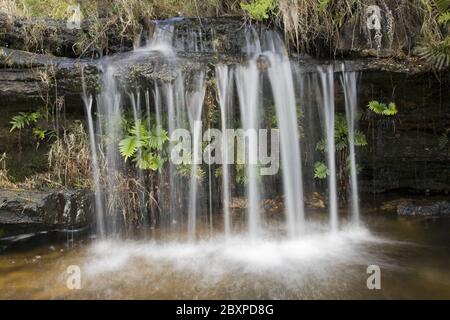 kleiner Wasserfall an den Mac Mac Pools, Panorama Route, Suedafrika, Afrika, south africa, Africa Stock Photo