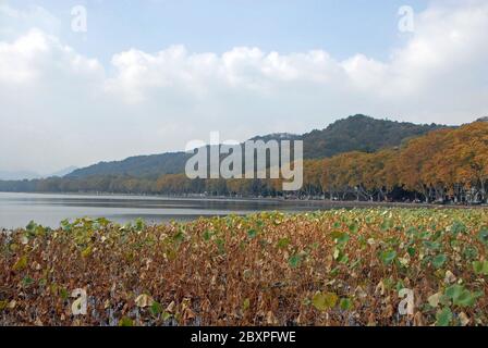 West Lake (Xi Hu) in Hangzhou, Zhejiang Province, China. The northern shore of West Lake seen from Baidi Causeway looking across Beili Hu. Stock Photo