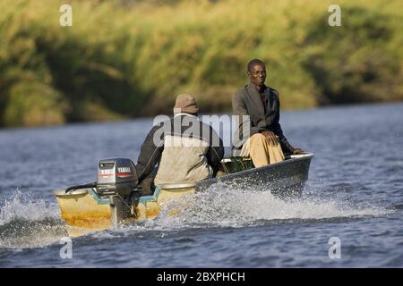 Fishermen in the boat, Mokoro, Okavango, Botswana, Africa fisherman in motorboat on the Okavango River, Africa Stock Photo