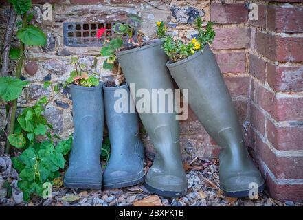 Wellington boot planters Stock Photo - Alamy